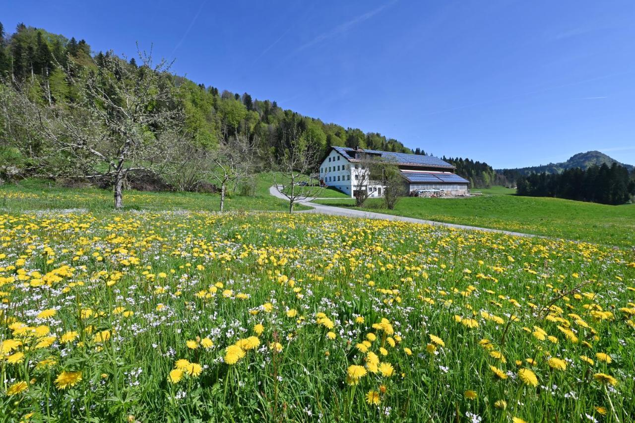 Ferienwohnung Auszeithof Voegel Sulzberg  Exterior foto